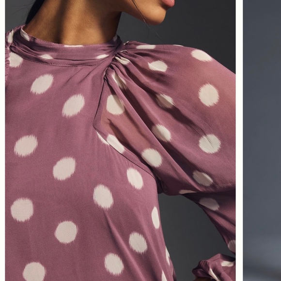 Sold .Anthropologie long sleeve Sheer Dress NWT - Picture 7 of 16